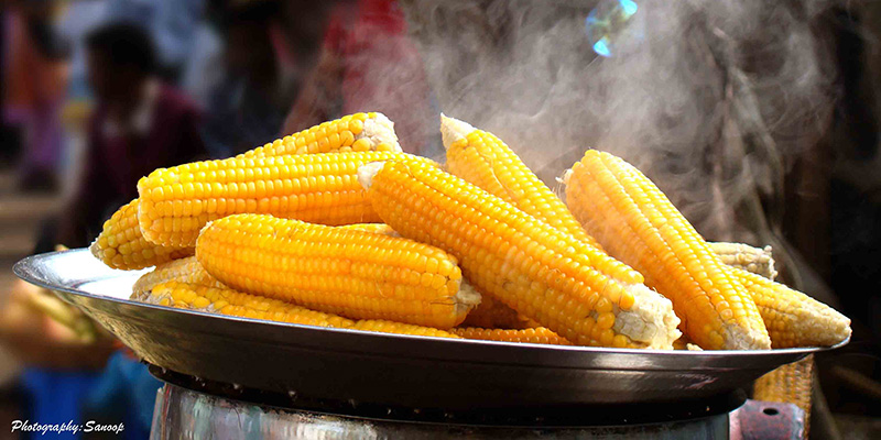 steaming-hot-corn